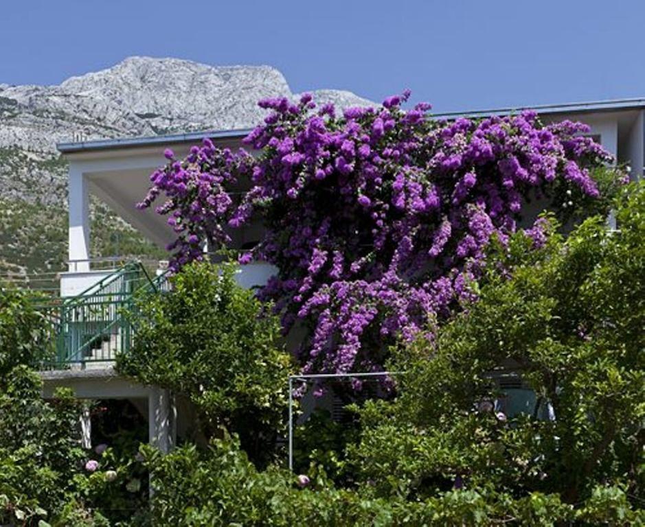 Apartamento House Marta Baška Voda Exterior foto